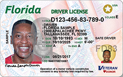 The Significance of Driving License